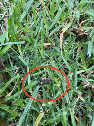 7CB18AE3-E1D9-4381-8A23-68B1220840CB.jpeg 7CB18AE3-E1D9-4381-8A23-68B1220840CB.jpeg