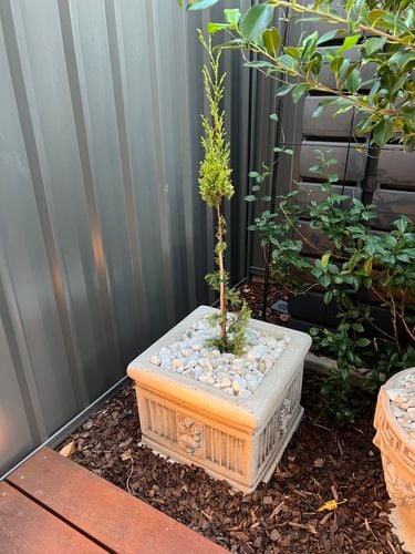 IMG_3275.jpeg IMG_3275.jpeg