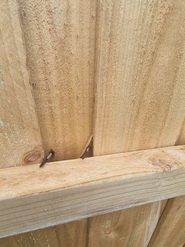 1000063719.jpg 1000063719.jpg