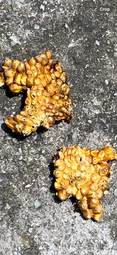 IMG_7724.png IMG_7724.png