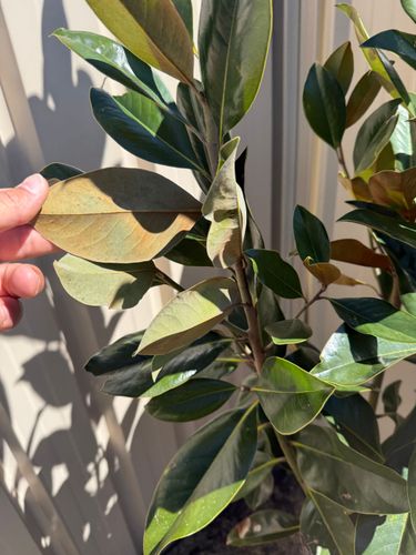 IMG_3253.jpeg IMG_3253.jpeg