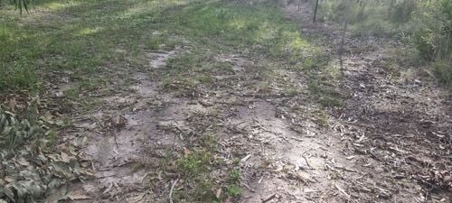 1000169729.jpg 1000169729.jpg