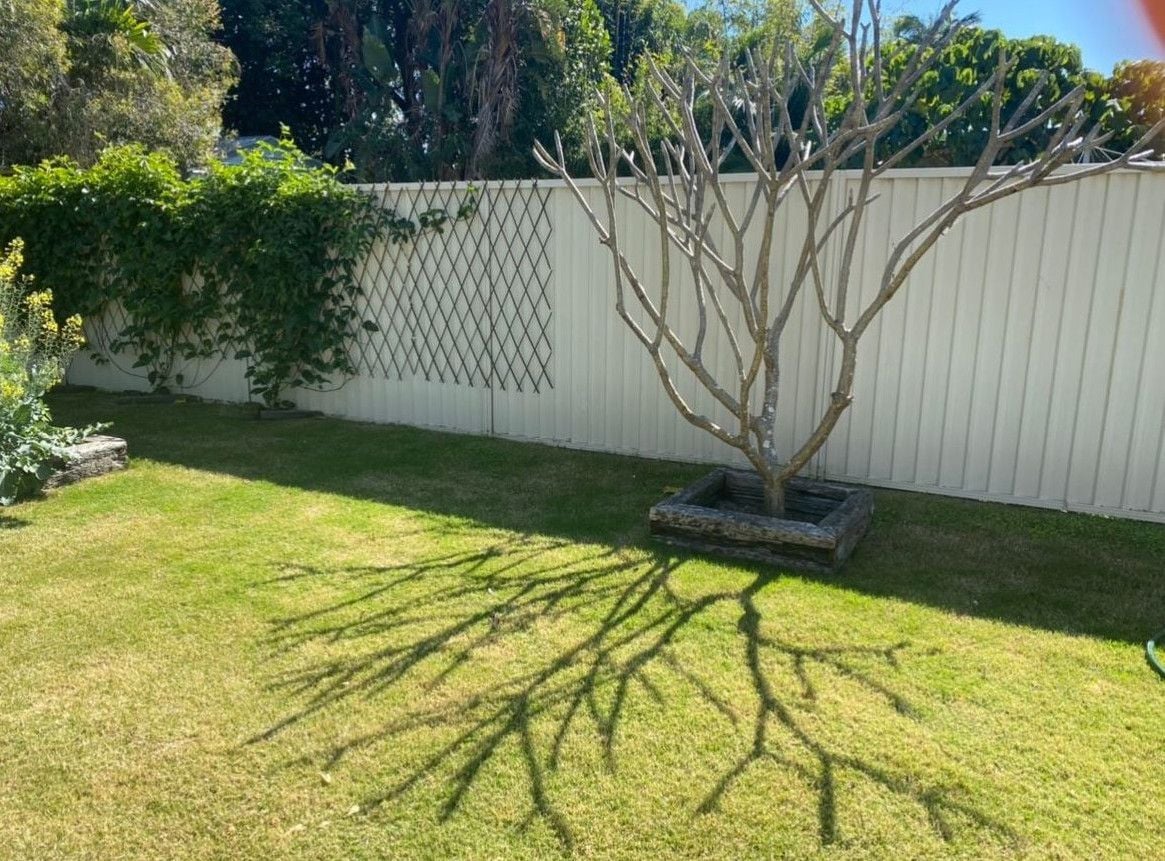 newfrangicrop.jpeg newfrangicrop.jpeg