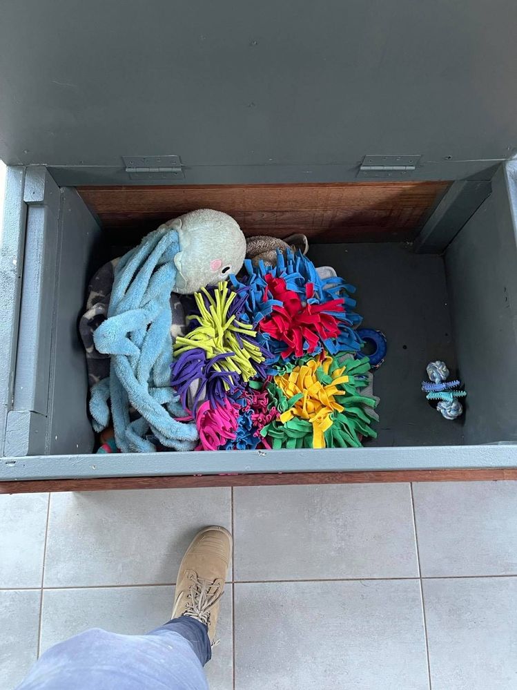 240694169_239070521330185_5511282787776924340_n.jpg 240694169_239070521330185_5511282787776924340_n.jpg