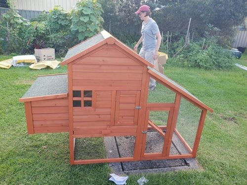 Resized_20210306_174548.jpeg Resized_20210306_174548.jpeg