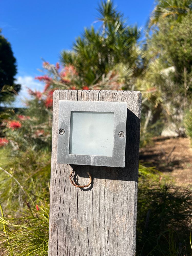 IMG_2564.jpg IMG_2564.jpg