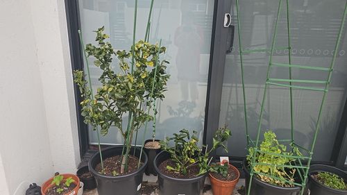 1000098577.jpg 1000098577.jpg