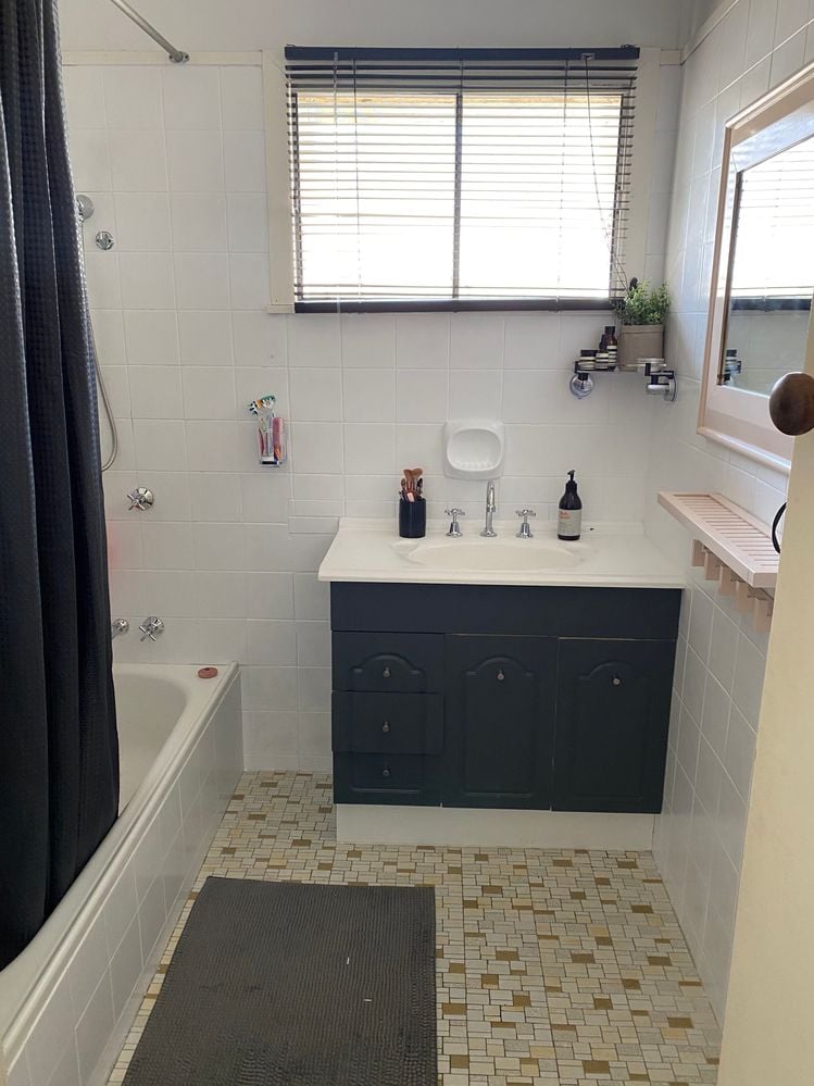 IMG_6103.jpeg IMG_6103.jpeg