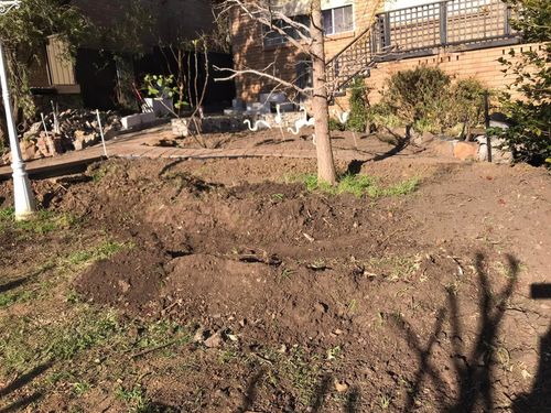 98 11-09-2022.jpg 98 11-09-2022.jpg