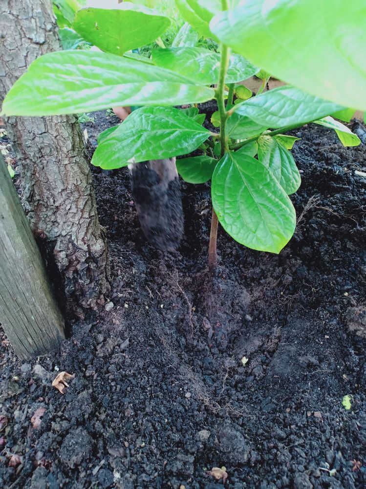 IMG20221203192011.jpg IMG20221203192011.jpg