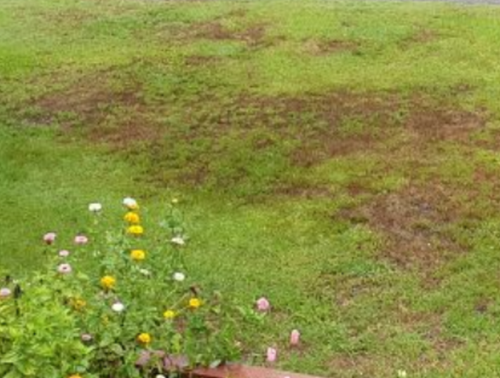 Screenshot_20210202-091343.png Screenshot_20210202-091343.png