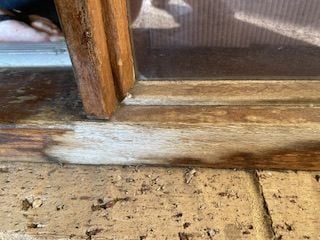 IMG_0634.jpeg IMG_0634.jpeg