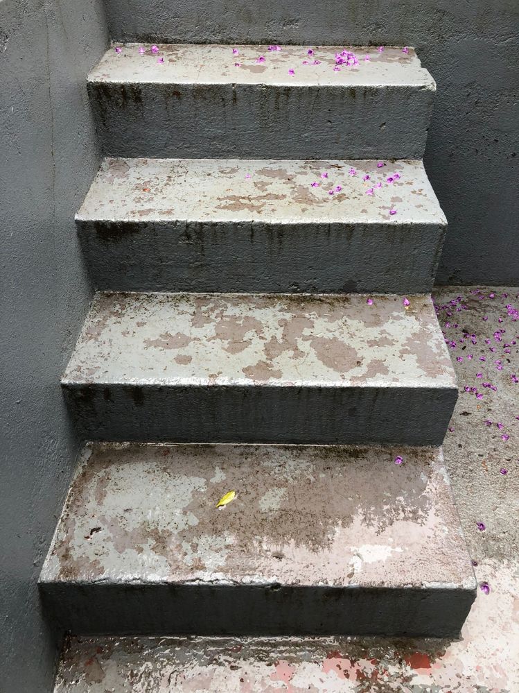 IMG_7272 (2).jpg IMG_7272 (2).jpg