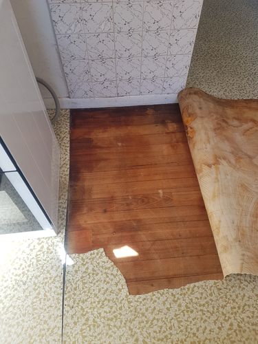 57162558_323857681861006_3965296670194794496_n.jpg 57162558_323857681861006_3965296670194794496_n.jpg