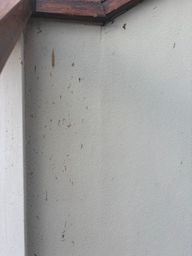 IMG_5018.jpeg IMG_5018.jpeg