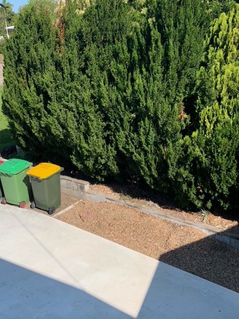 image0.jpeg image0.jpeg