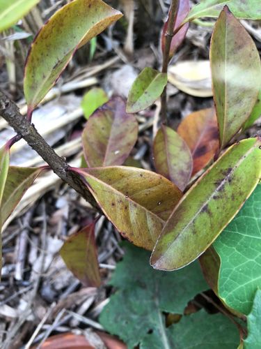 IMG_3825.jpeg IMG_3825.jpeg