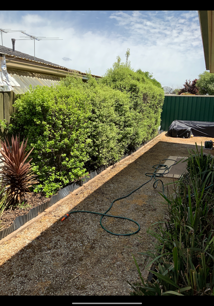 D573C8F7-01BC-45F7-ACA5-3F99051B154D.png D573C8F7-01BC-45F7-ACA5-3F99051B154D.png