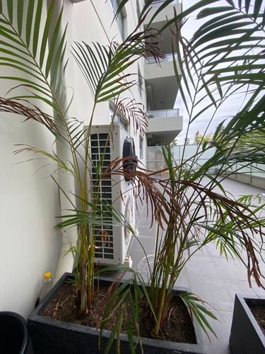 0C7ECA06-513B-456E-B046-2E478E1CFA8E.jpeg 0C7ECA06-513B-456E-B046-2E478E1CFA8E.jpeg