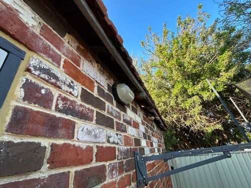 IMG_9387.jpeg IMG_9387.jpeg