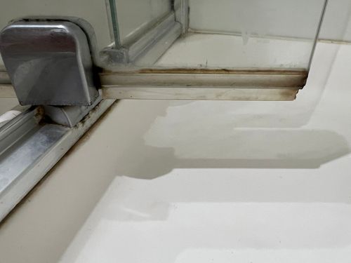 IMG_0596.jpeg IMG_0596.jpeg