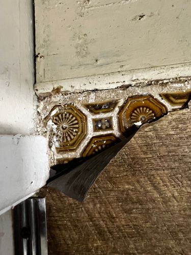 IMG_6670.jpeg IMG_6670.jpeg