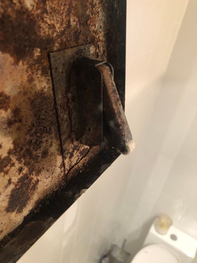 IMG_5928.jpeg IMG_5928.jpeg