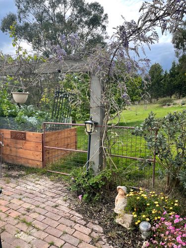 B9CCBAFF-6E78-4B0B-8E47-D1A519D879DA.jpeg B9CCBAFF-6E78-4B0B-8E47-D1A519D879DA.jpeg