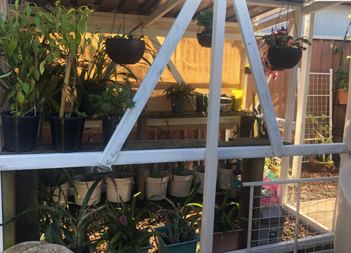 Screen Shot 2022-07-29 at 3.06.41 pm.png Screen Shot 2022-07-29 at 3.06.41 pm.png