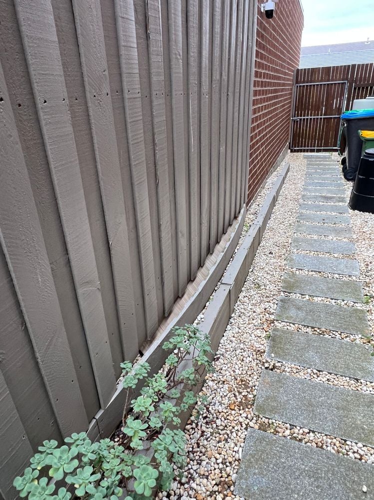 BeforeJPG.JPG BeforeJPG.JPG