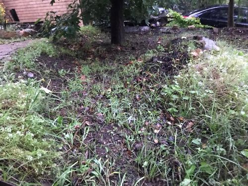 05 06-04-2024.jpg 05 06-04-2024.jpg