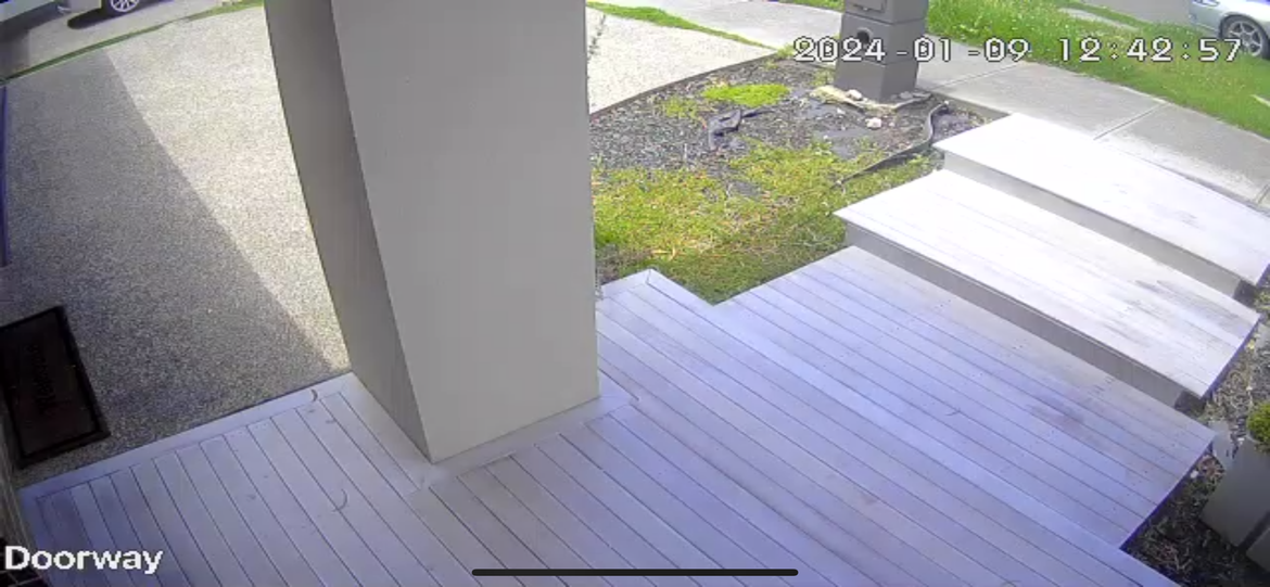 IMG_2612.PNG IMG_2612.PNG