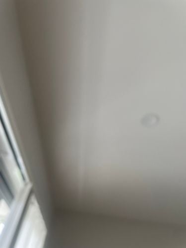 IMG_8961.jpeg IMG_8961.jpeg