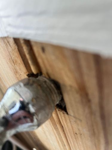 IMG_3294.jpeg IMG_3294.jpeg