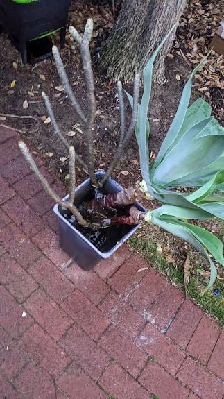 PXL_20240730_094813503.jpg PXL_20240730_094813503.jpg