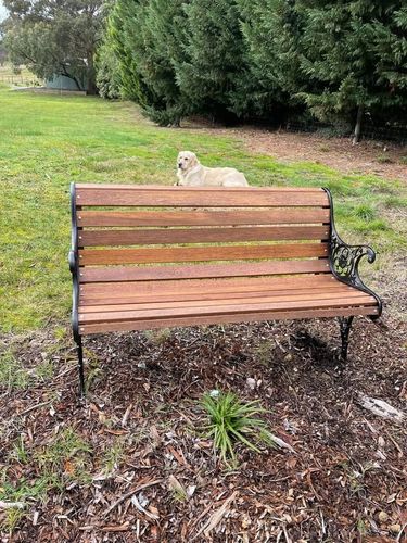 698AB608-59C9-4BCE-AAD5-8510F1468FA4.jpeg 698AB608-59C9-4BCE-AAD5-8510F1468FA4.jpeg