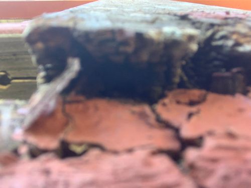 EC959D21-F2EC-4DA3-92D8-3EF76B2752B6.jpeg EC959D21-F2EC-4DA3-92D8-3EF76B2752B6.jpeg