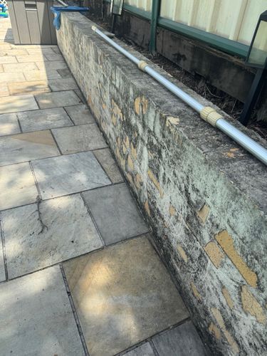 IMG_7703.jpeg IMG_7703.jpeg