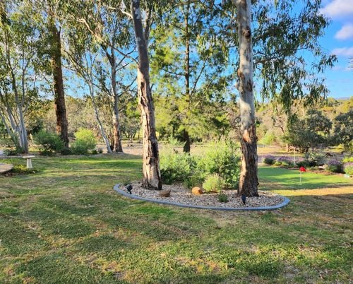 20251015_165616.jpg 20251015_165616.jpg