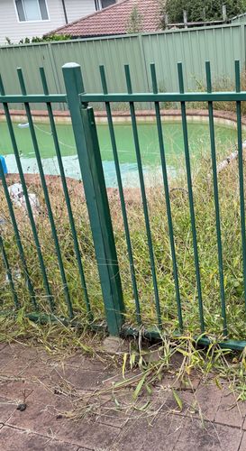 IMG_2889.jpg IMG_2889.jpg