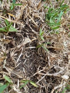 IMG_8859.jpeg IMG_8859.jpeg