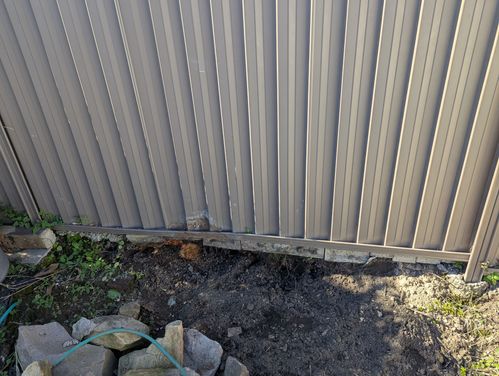 1000039140.jpg 1000039140.jpg