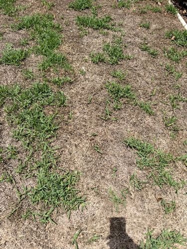 IMG_3843.jpeg IMG_3843.jpeg