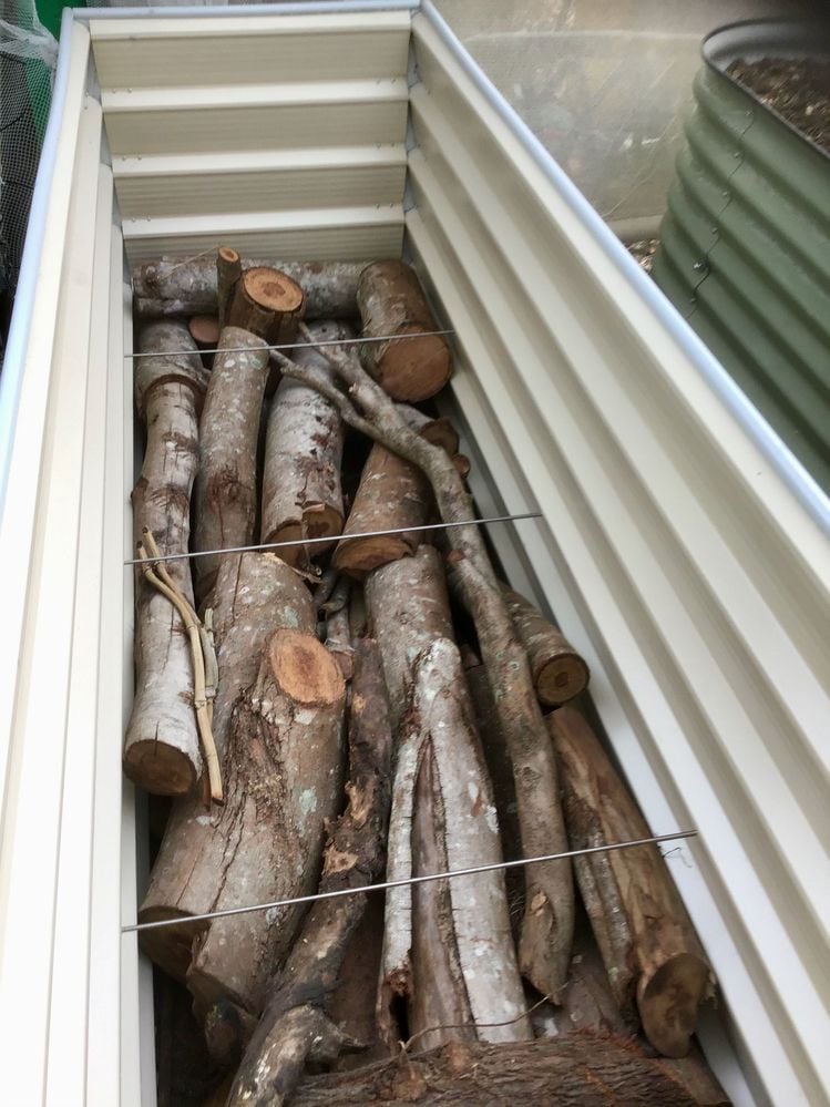 IMG_0100.jpeg IMG_0100.jpeg