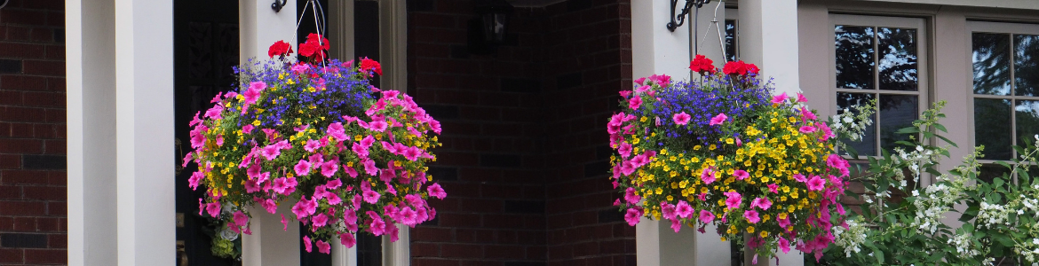 How to create a hanging basket.png How to create a hanging basket.png
