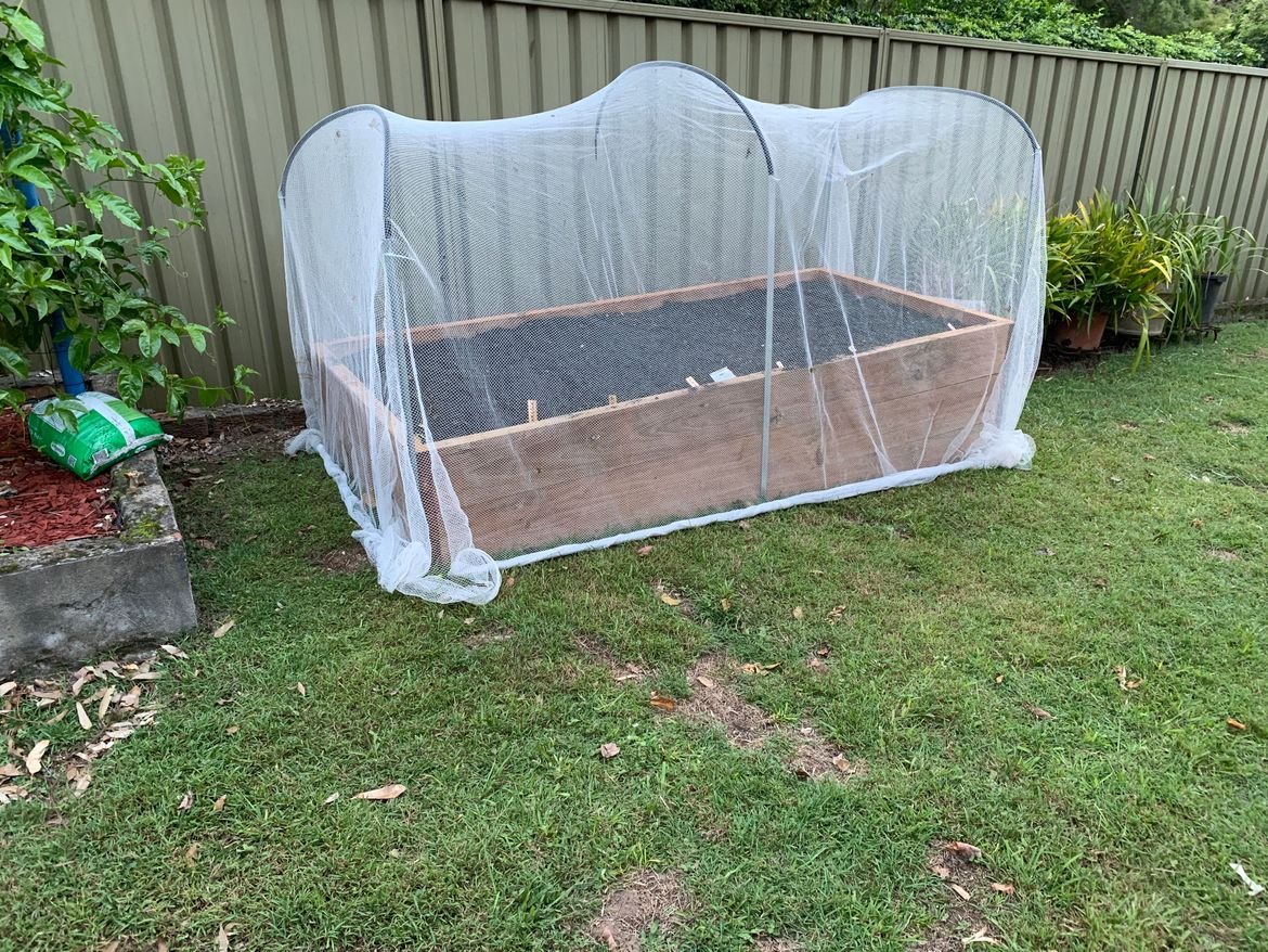 BE5BAE92-C73D-49C1-A280-0BBDD5D5B81F.jpeg BE5BAE92-C73D-49C1-A280-0BBDD5D5B81F.jpeg