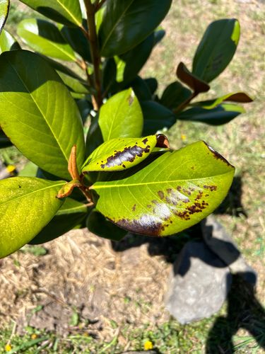 IMG_6303.jpeg IMG_6303.jpeg