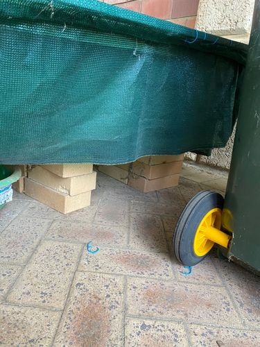 7919C1C8-1F3E-472C-A071-D6CFCA1A3E39.jpeg 7919C1C8-1F3E-472C-A071-D6CFCA1A3E39.jpeg