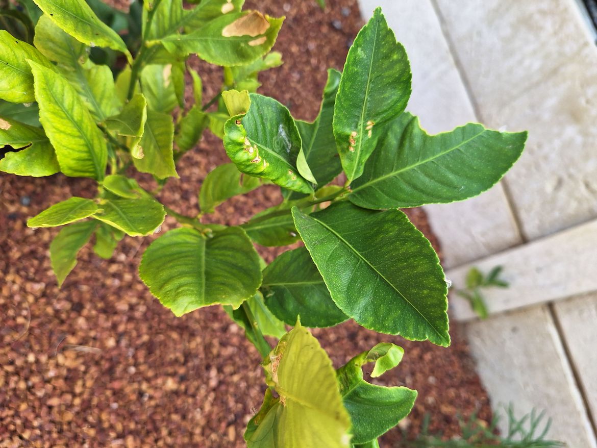 20250101_092836.jpg 20250101_092836.jpg