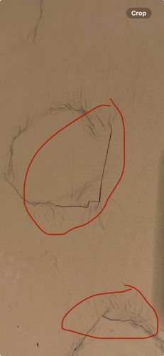 IMG_5906.jpeg IMG_5906.jpeg